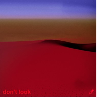 Nikita, The Wicked "don't look"