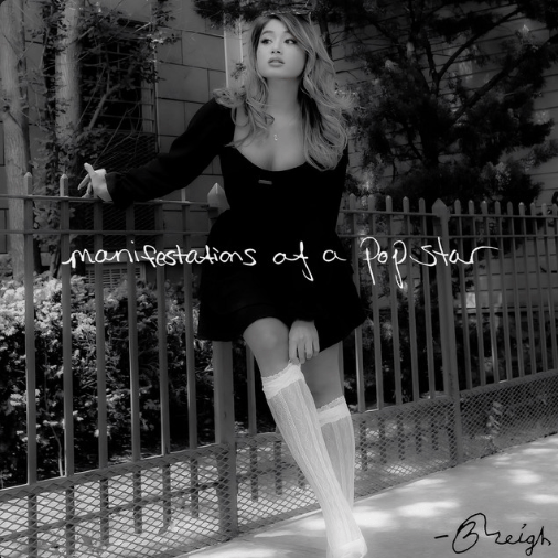 Breigh, "Stupid, Reckless"