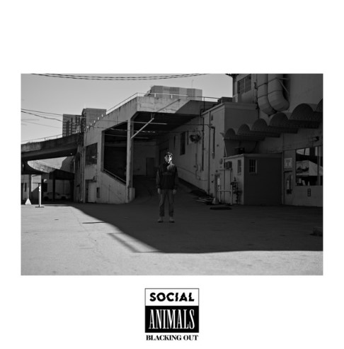 Social Animals, "Blacking Out"