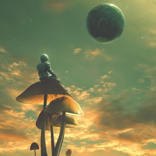 New Earth Farmers, "War Inside Our Hearts"