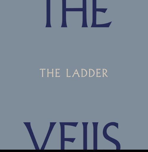The Veils, "The Ladder"