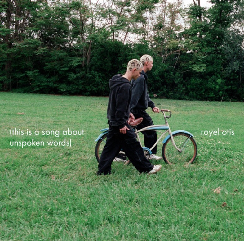 Royel Otis, "Say Something"