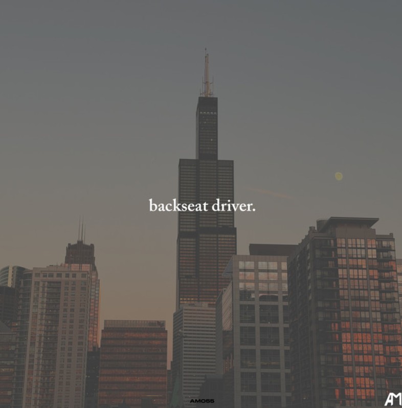 Aash Mehta, "Backseat Driver"