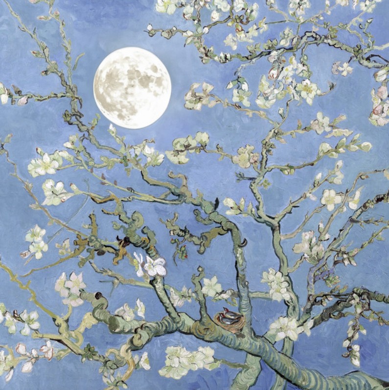 JVKE, Jeon Somi, "moonboy"